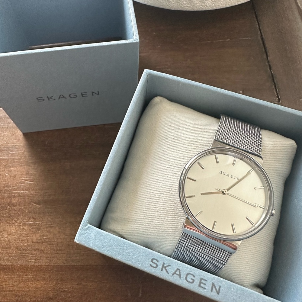 Skagen Silver-Tone Mesh Watch
